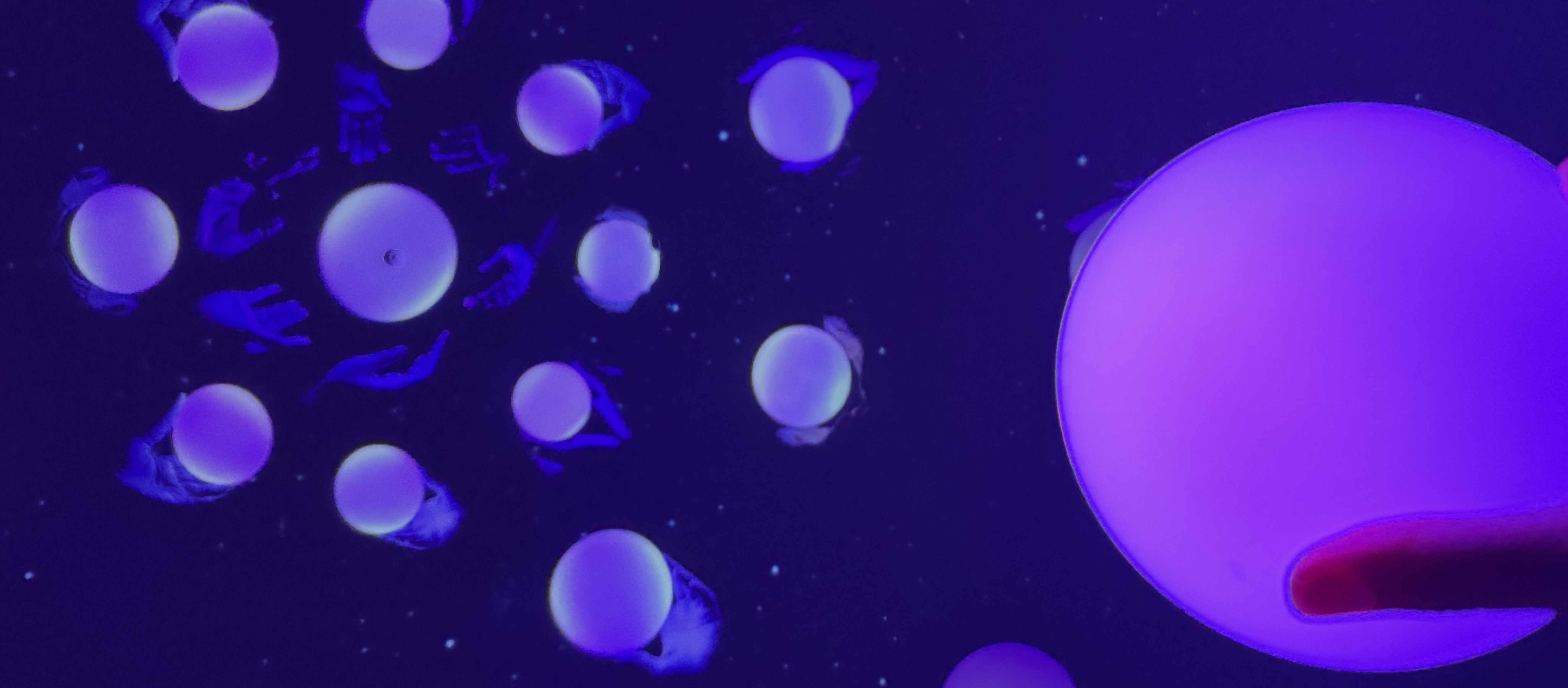 SPHERES | EXPO OSAKA